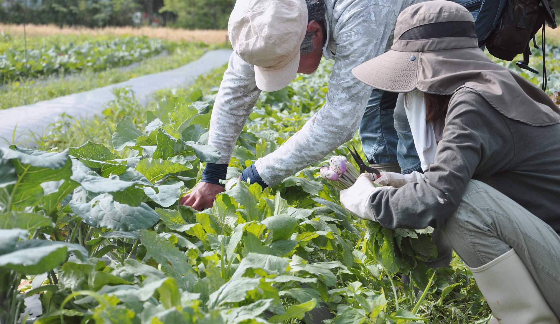 収穫の悦び　軽井沢の地で向き合う