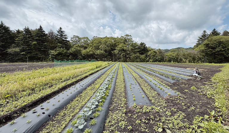 軽井沢だから、私たちの農がある